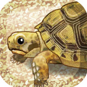 治愈的海龟育成ios中文版下载-治愈的海龟育成越狱版v1.1