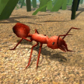 火蚁模拟器ios最新版下载-Fire Ant Simulator免费版下载v1.0