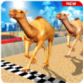 骆驼模拟器游戏下载-骆驼模拟器下载v1.2