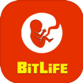 生命模拟器BitLife中文版下载-BitLife汉化版下载v3.2