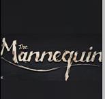 The Mannequin下载-the mannequin游戏下载v1.0